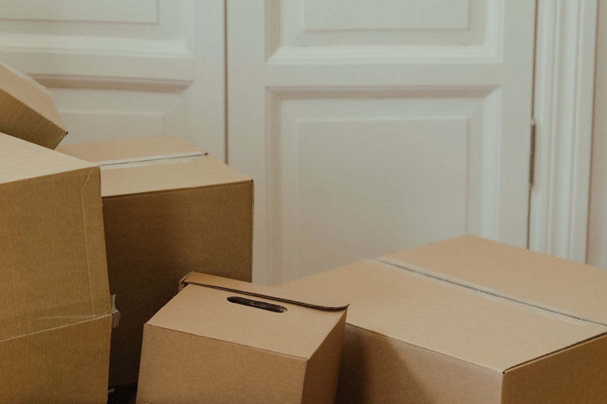 Düzgün Koli Dizilişi